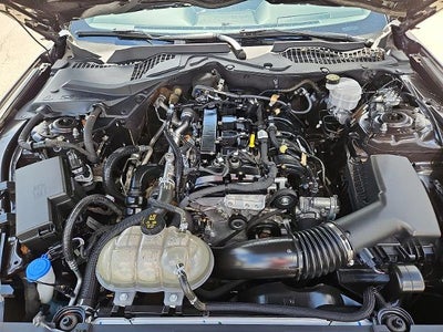 2023 Ford Mustang EcoBoost