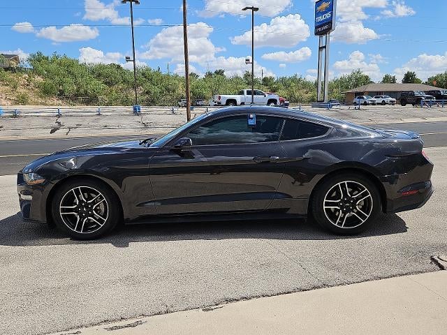 2023 Ford Mustang EcoBoost